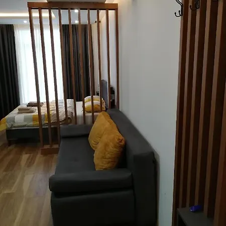 President Kop A-406 - Wiseman Apartment *